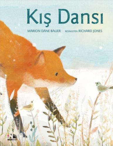 Kış Dansı | Kitap Ambarı