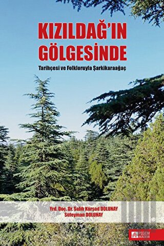 Kızıldağ'ın Gölgesinde | Kitap Ambarı