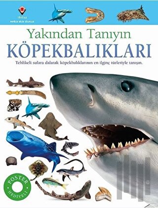 Köpekbalıkları - Yakından Tanıyın | Kitap Ambarı