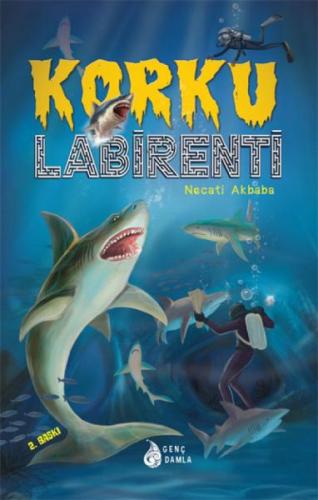 Korku Labirenti | Kitap Ambarı