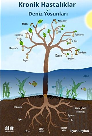 Kronik Hastalıklar ve Deniz Yosunları | Kitap Ambarı