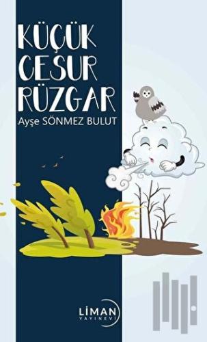 Küçük Cesur Rüzgar | Kitap Ambarı