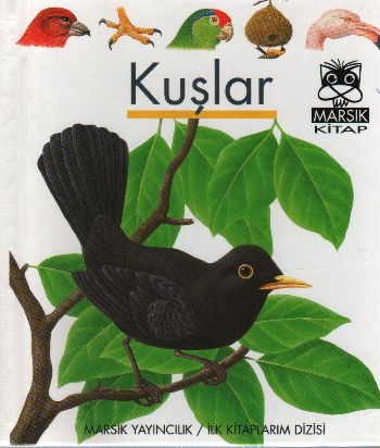 Kuşlar / İlk Kitaplarım Dizisi | Kitap Ambarı