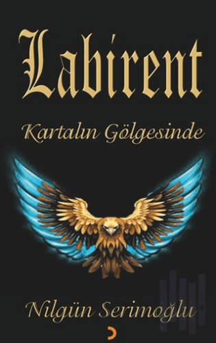 Labirent | Kitap Ambarı