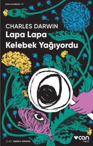 Lapa Lapa Kelebek Yağıyordu | Kitap Ambarı