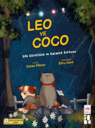 Leo ve Coco | Kitap Ambarı