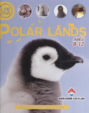 Life Cycles - Polar Lands (8-12 Ages) | Kitap Ambarı