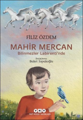 Mahir Mercan - Bilinmezler Labirenti'nde | Kitap Ambarı