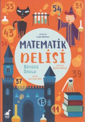 Matematik Delisi | Kitap Ambarı