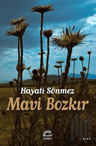 Mavi Bozkır | Kitap Ambarı