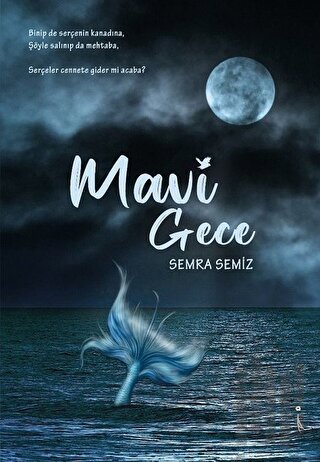 Mavi Gece | Kitap Ambarı