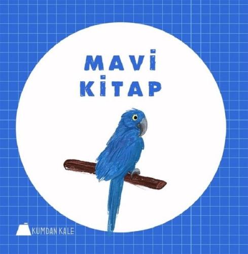 Mavi Kitap | Kitap Ambarı