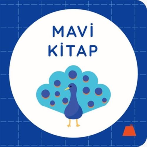 Mavi Kitap (Ciltli) | Kitap Ambarı