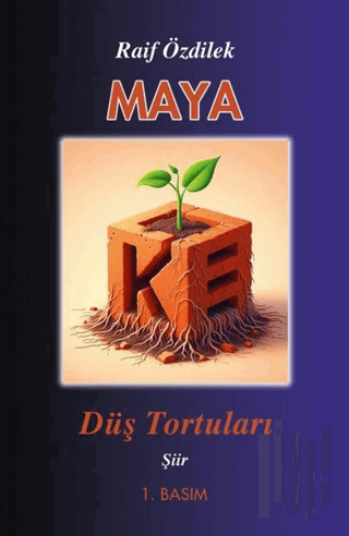 Maya - Düş Tortuları | Kitap Ambarı