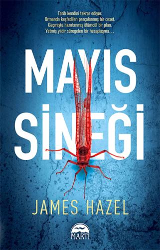 Mayıs Sineği | Kitap Ambarı