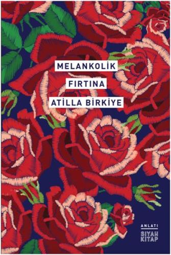 Melankolik Fırtına | Kitap Ambarı