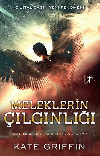 Meleklerin Çılgınlığı | Kitap Ambarı