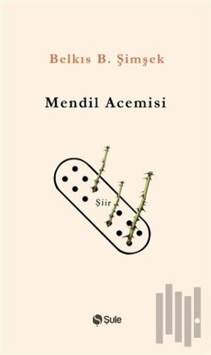 Mendil Acemisi | Kitap Ambarı