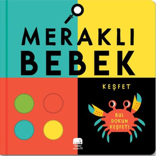 Meraklı Bebek Keşfet | Kitap Ambarı