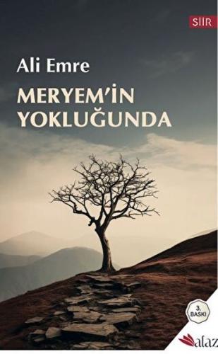 Meryem'in Yokluğunda | Kitap Ambarı