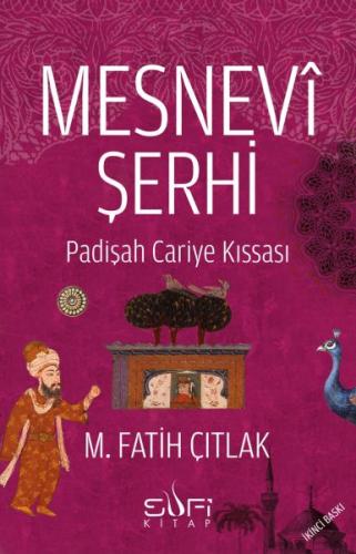 Mesnevi Şerhi | Kitap Ambarı