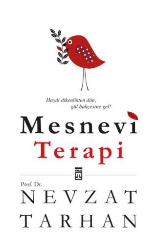 Mesnevi Terapi | Kitap Ambarı