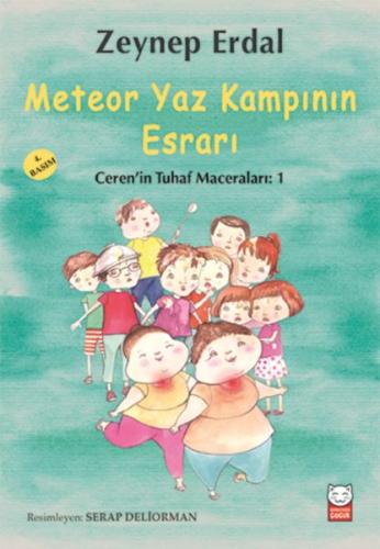 Meteor Yaz Kampının Esrarı | Kitap Ambarı