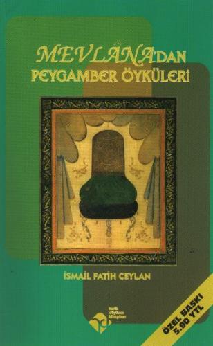 Mevlana’dan Peygamber Öyküleri | Kitap Ambarı