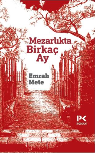 Mezarlıkta Birkaç Ay | Kitap Ambarı