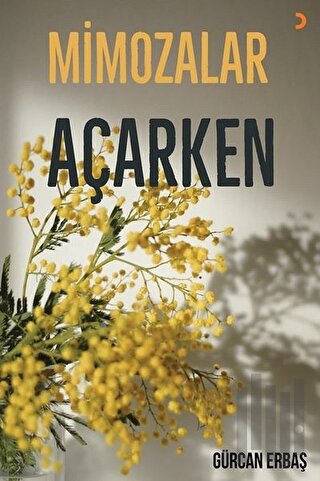 Mimozalar Açarken | Kitap Ambarı