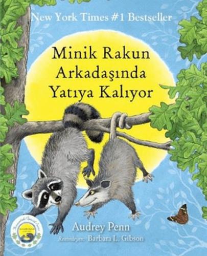 Minik Rakun Arkadaşında Yatıya Kalıyor | Kitap Ambarı