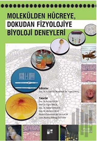 Molekülden Hücreye, Dokudan Fizyolojiye Biyoloji Deneyleri | Kitap Amb