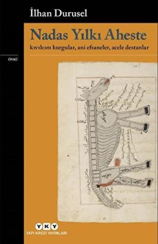 Nadas Yılkı Aheste | Kitap Ambarı