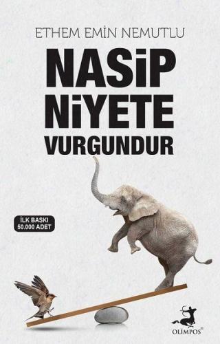 Nasip Niyete Vurgundur | Kitap Ambarı