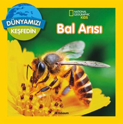 Dünyamızı Keşfedin - Bal Arısı | Kitap Ambarı