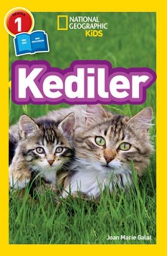 Kediler | Kitap Ambarı