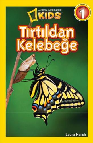 Tırtıldan Kelebeğe | Kitap Ambarı