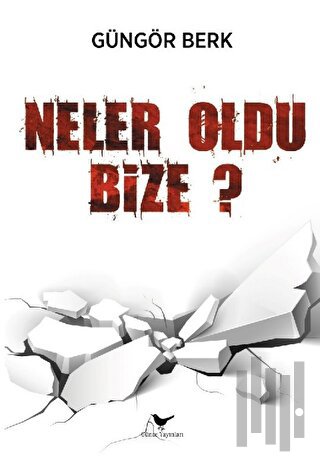 Neler Oldu Bize | Kitap Ambarı