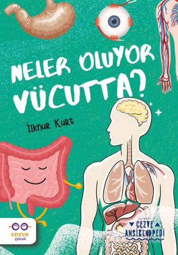 Neler Oluyor Vücutta? – Cezve Ansiklopedi | Kitap Ambarı