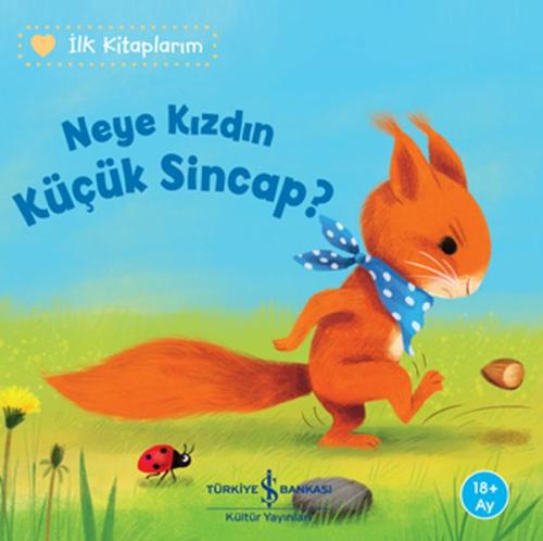 Neye Kızdın Küçük Sincap? | Kitap Ambarı