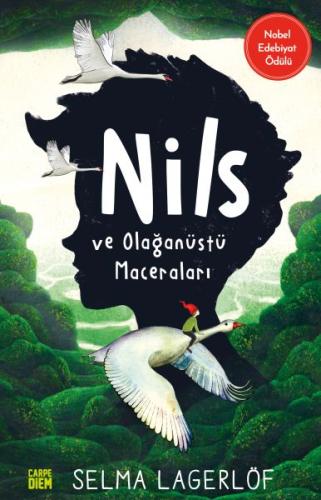 Nils ve Olağanüstü Maceraları | Kitap Ambarı