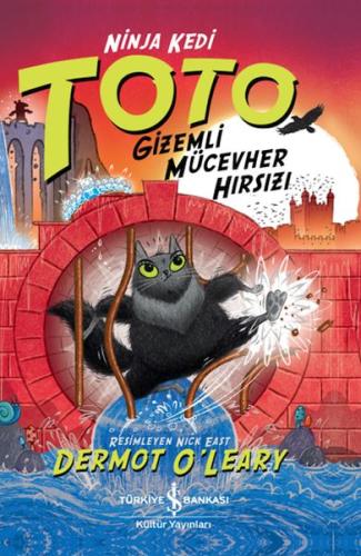 Ninja Kedi Toto - Gizemli Mücevher Hırsızı | Kitap Ambarı