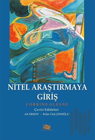 Nitel Araştırmaya Giriş | Kitap Ambarı