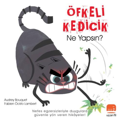 Öfkeli Kedicik | Kitap Ambarı