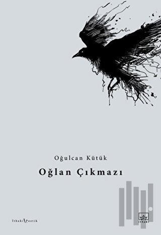 Oğlan Çıkmazı | Kitap Ambarı