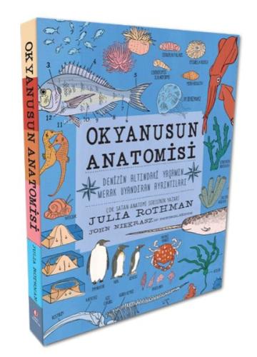 Okyanusun Anatomisi | Kitap Ambarı