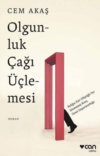 Olgunluk Çağı Üçlemesi | Kitap Ambarı