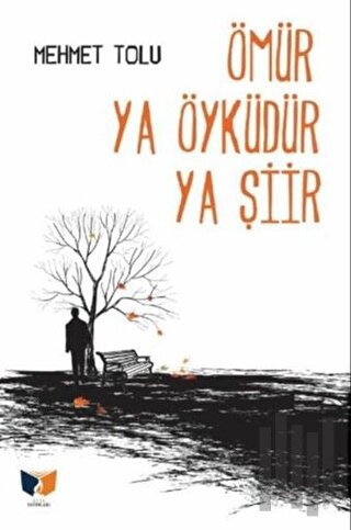 Ömür Ya Öyküdür Ya Şiir | Kitap Ambarı