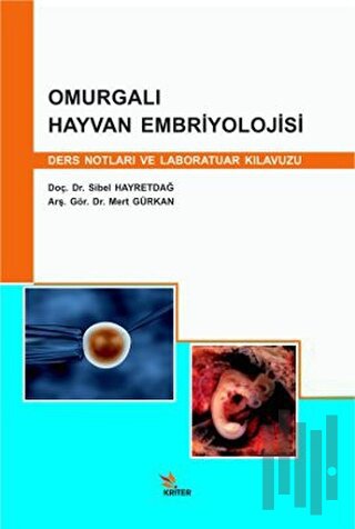 Omurgalı Hayvan Embriyolojisi | Kitap Ambarı