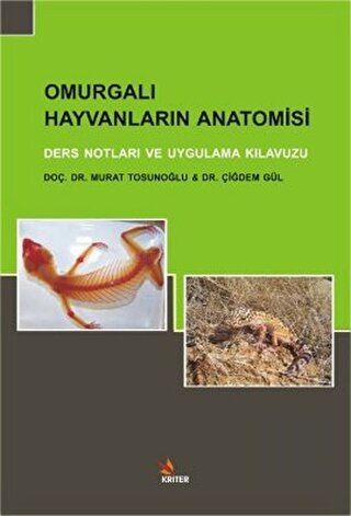 Omurgalı Hayvanların Anatomisi | Kitap Ambarı